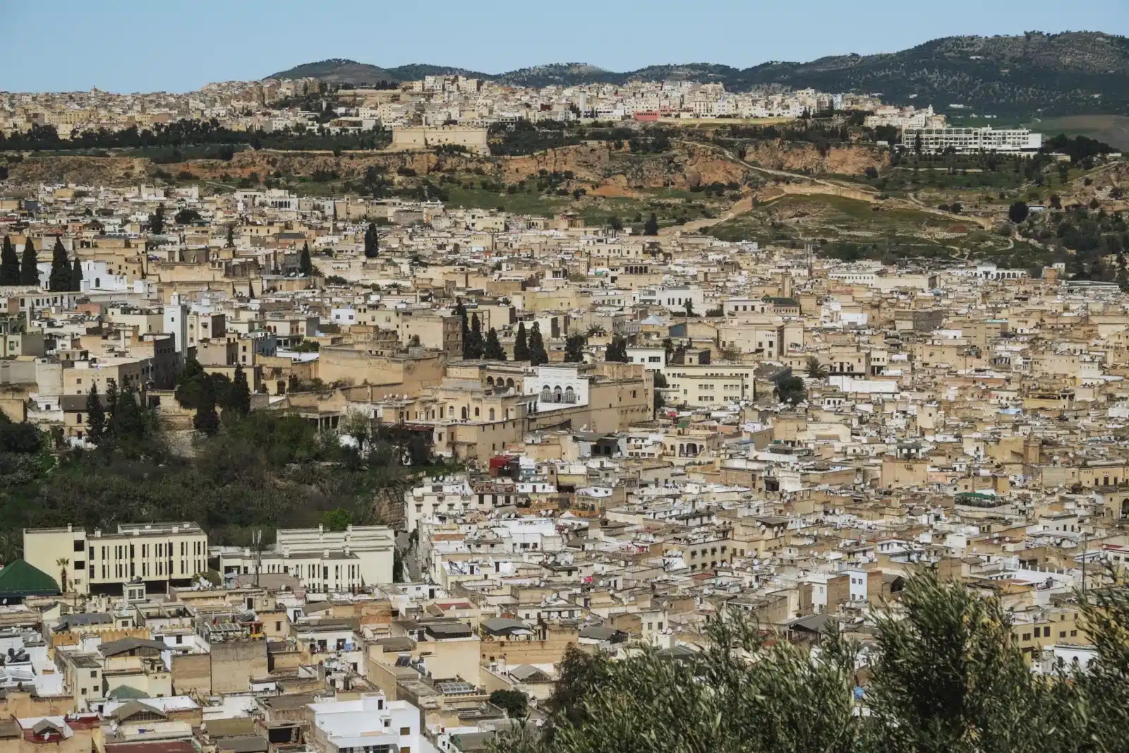 Desde Fez