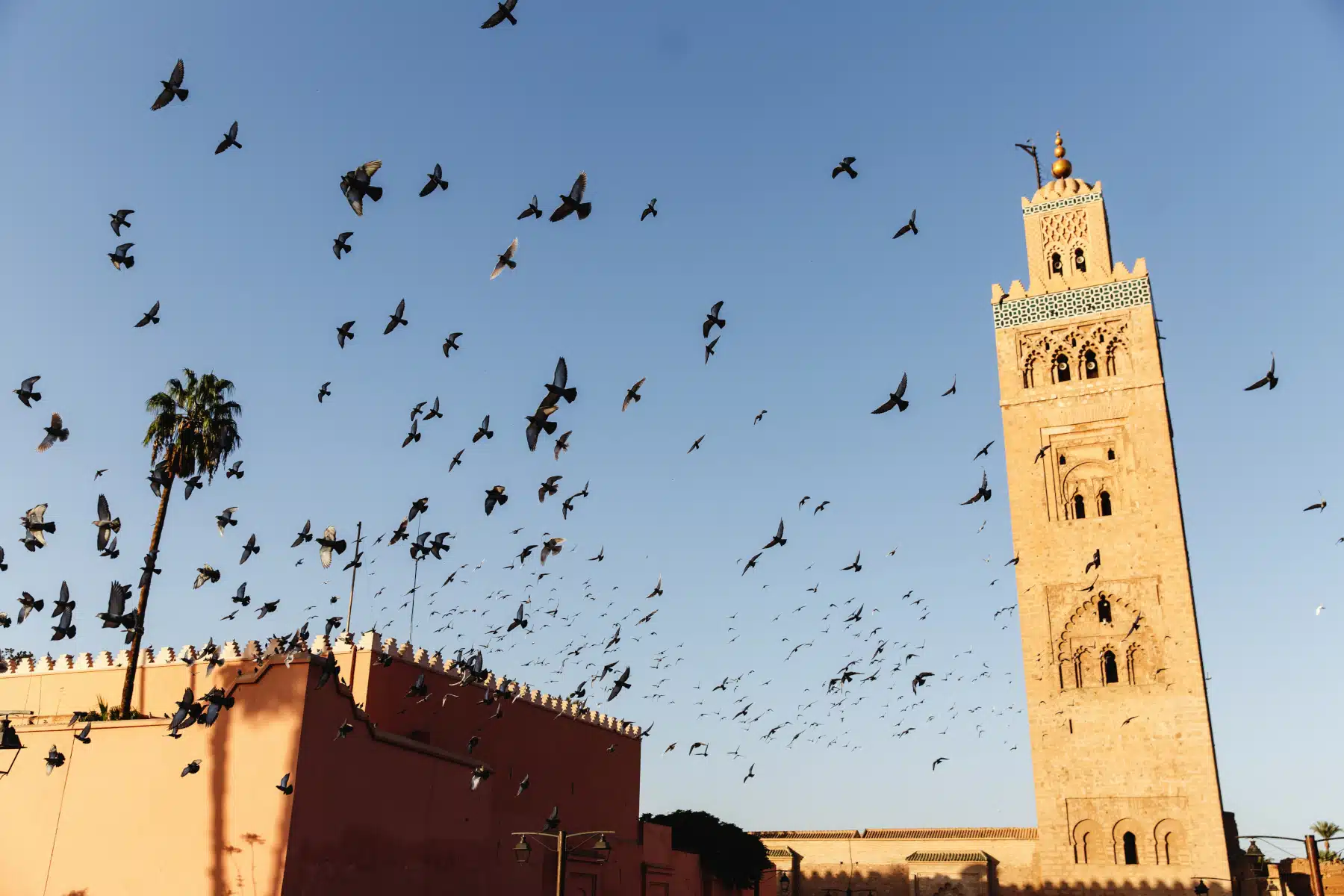 Desde Marrakech