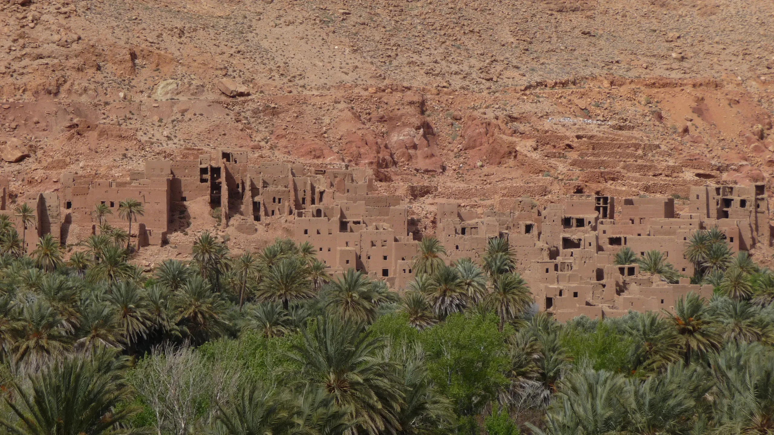 3 días - Ruta por el desierto con fin en Fez